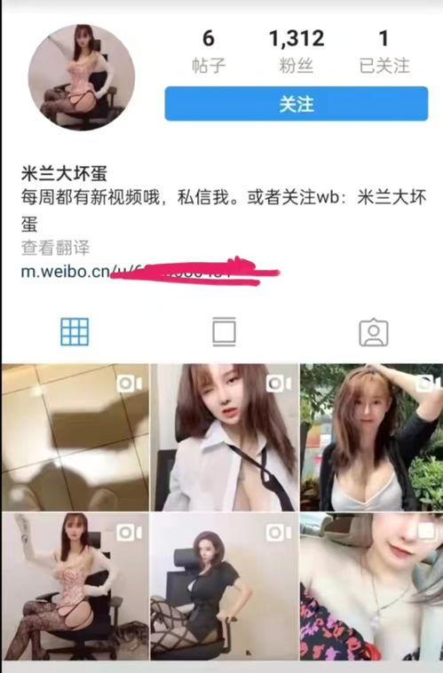 台州直播吃瓜事件视频,一场网络争议的发酵与反思