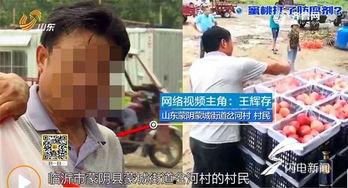 蒙阴吃瓜事件视频播放,一场网络热议的真相揭秘