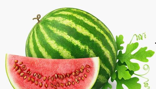 小孩开心吃哈密瓜好吗视频,小孩开心吃瓜欢乐多