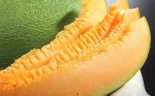 萌星人吃蜜瓜视频大全