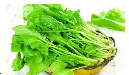 吃瓜菠菜视频下载免费版