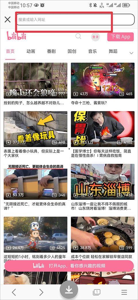 吃瓜挨揍视频素材下载网站,一键下载，畅享娱乐盛宴