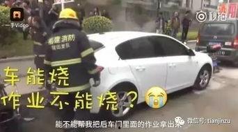 救火现场吃瓜视频,吃瓜群众镜头下的英勇救火现场