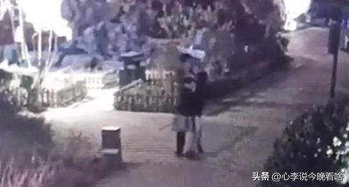 农村吃瓜现场视频完整版,现场视频完整版揭秘乡村欢乐时光