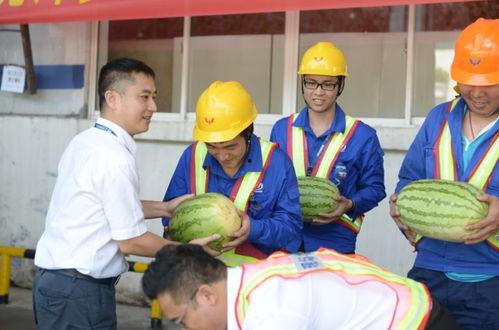 群众吃瓜送心视频,群众欢乐互动，共度美好时光