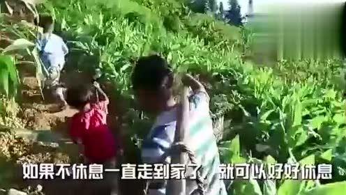 呼职吃瓜视频,揭秘校园热点事件背后的真相