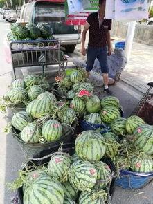 十堰吃瓜事件真相揭秘视频,揭秘背后真相与争议