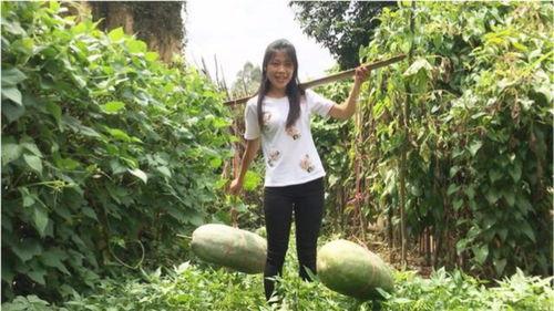 景区吃瓜的视频怎么拍,捕捉夏日休闲时光